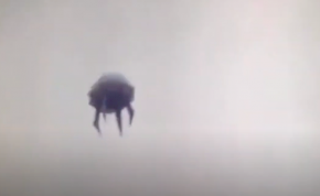 Csápos UFO-űrhajóról kerültek elő felvételek? – videó